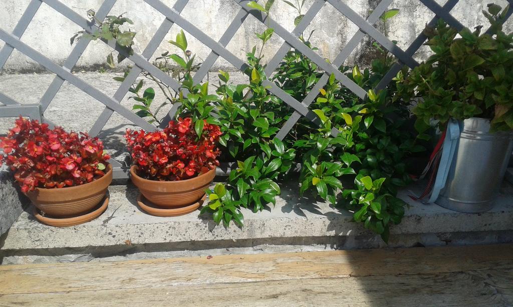 Guest House Rabenseifner - Opatija Jurdani Ngoại thất bức ảnh